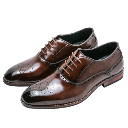 1763485982119-removebg-preview Pointed Derby